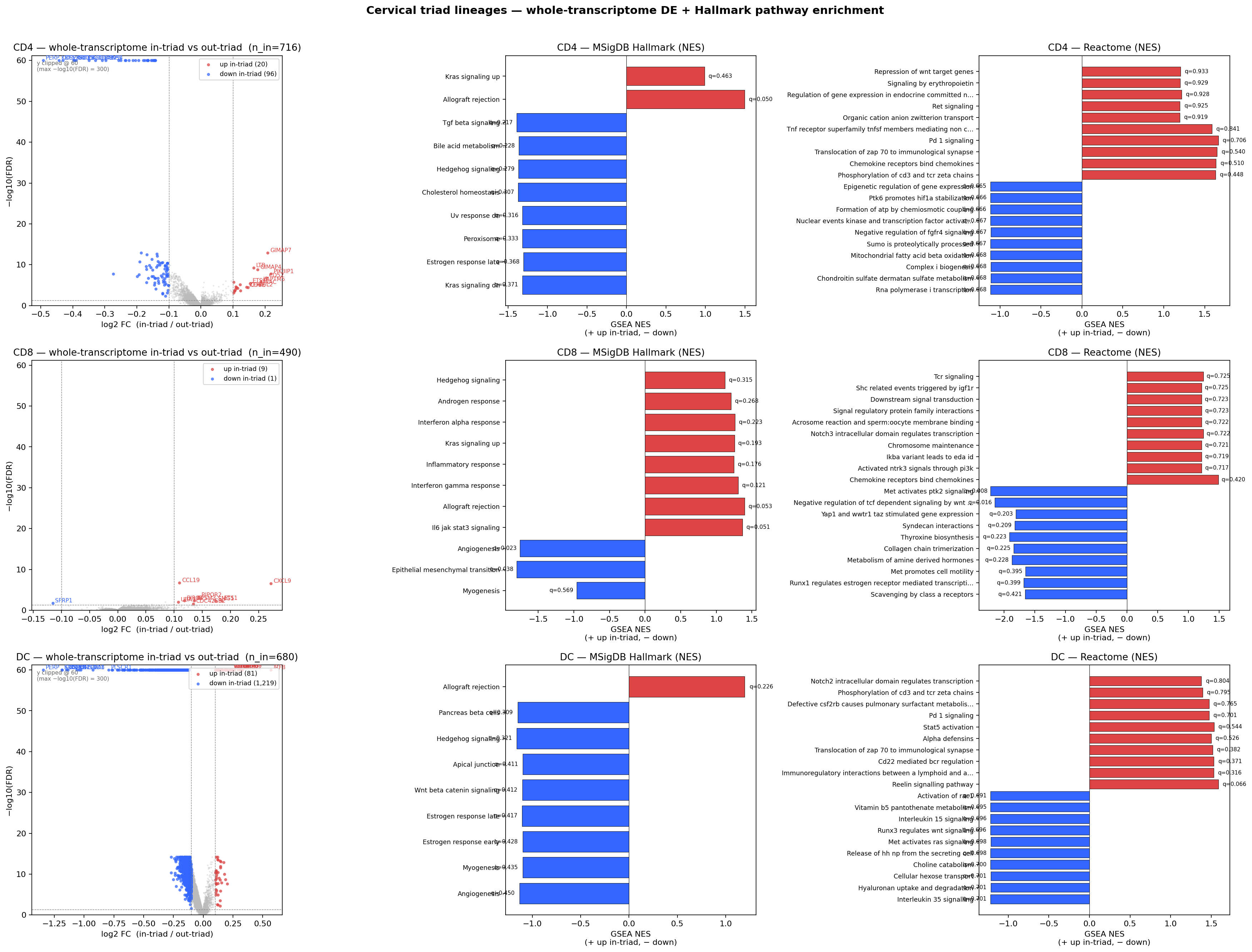 Triad whole-transcriptome DE and GSEA