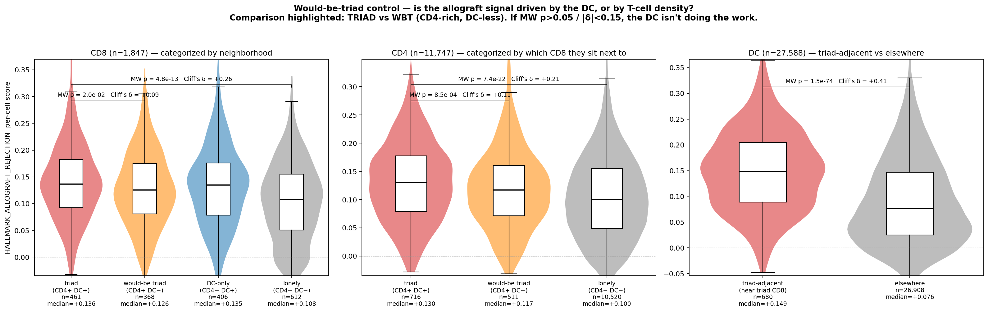 Allograft-rejection score by neighbourhood category