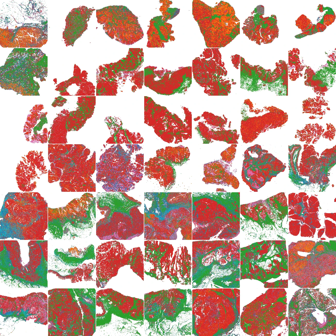 Predicted cell types in the same 49 tissue regions
