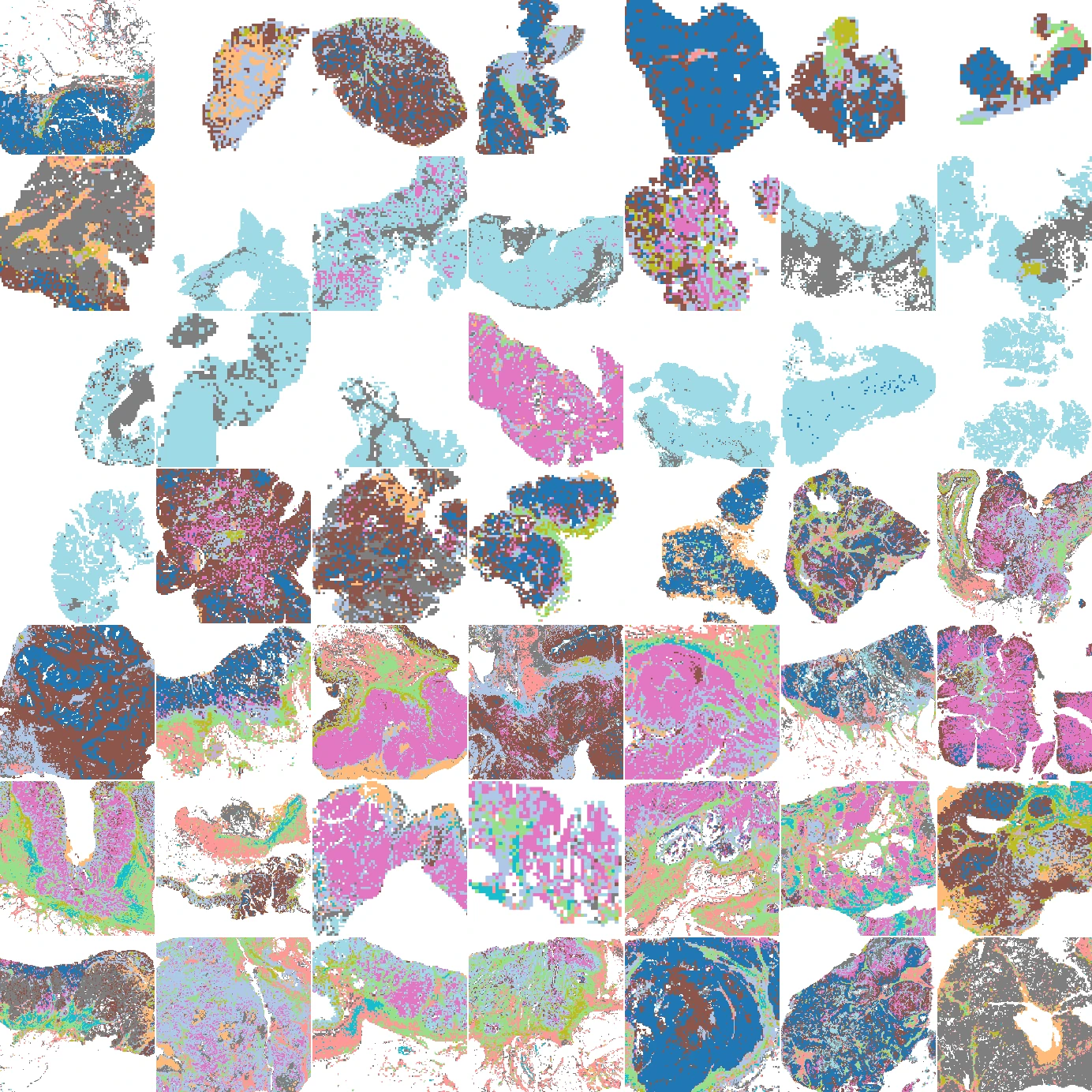 Predicted spatial niches in the same 49 tissue regions